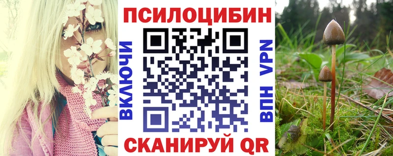 Галлюциногенные грибы Psilocybe купить закладку Темников